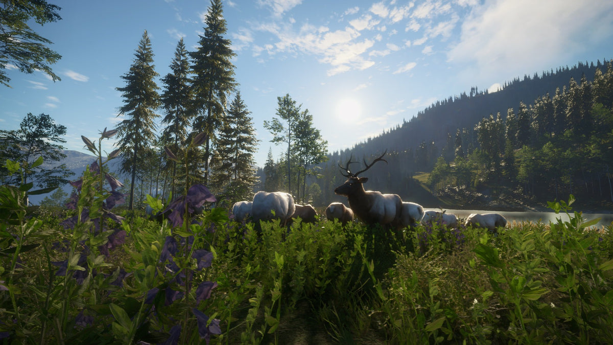 theHunter: Call of the Wild - Hunting Starter Pack Bundle PC Steam CD Key  REGION FREE  [Email/Instant Delivery]