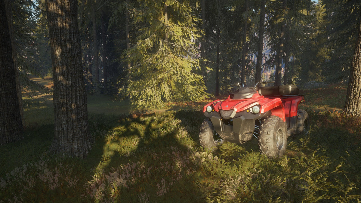 theHunter: Call of the Wild - Hunting Starter Pack Bundle PC Steam CD Key  REGION FREE  [Email/Instant Delivery]