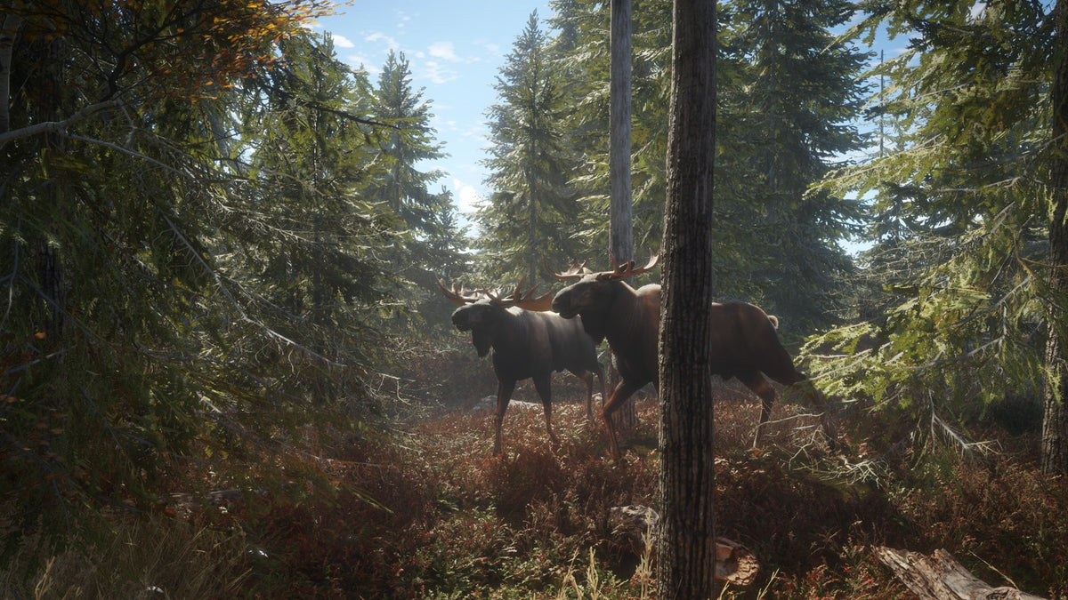 theHunter: Call of the Wild - Hunting Starter Pack Bundle PC Steam CD Key  REGION FREE  [Email/Instant Delivery]