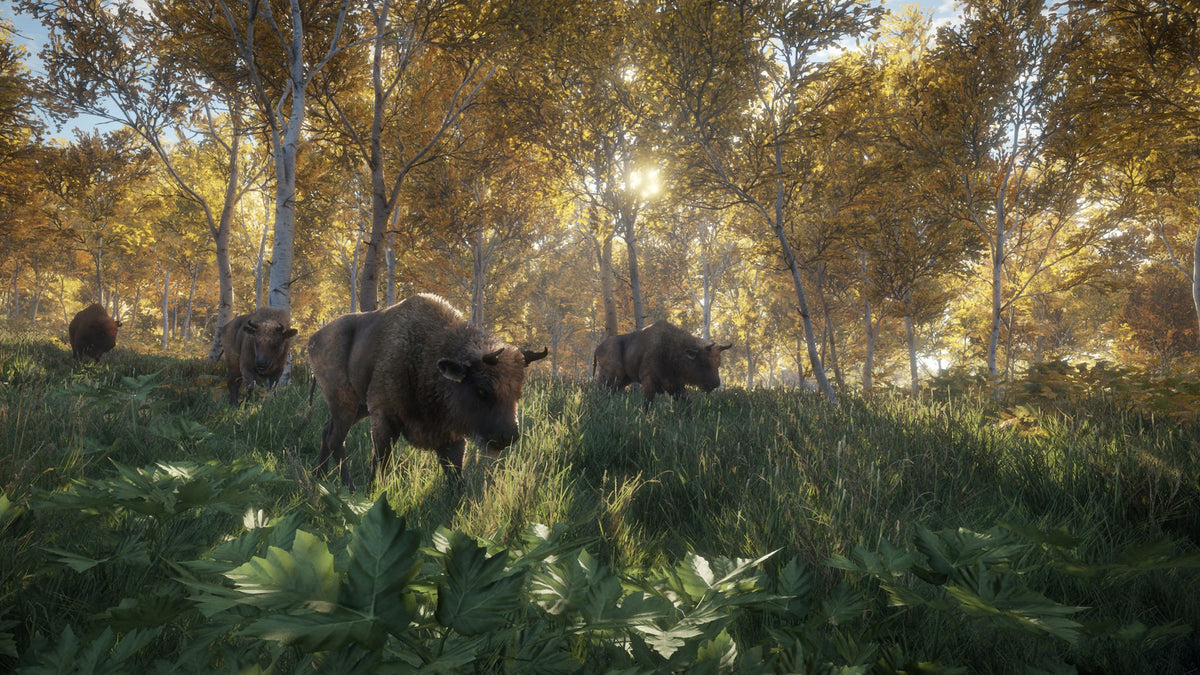 theHunter: Call of the Wild - Hunting Starter Pack Bundle PC Epic Games Account  REGION FREE Avalanche Studios - [Email/Instant Delivery]