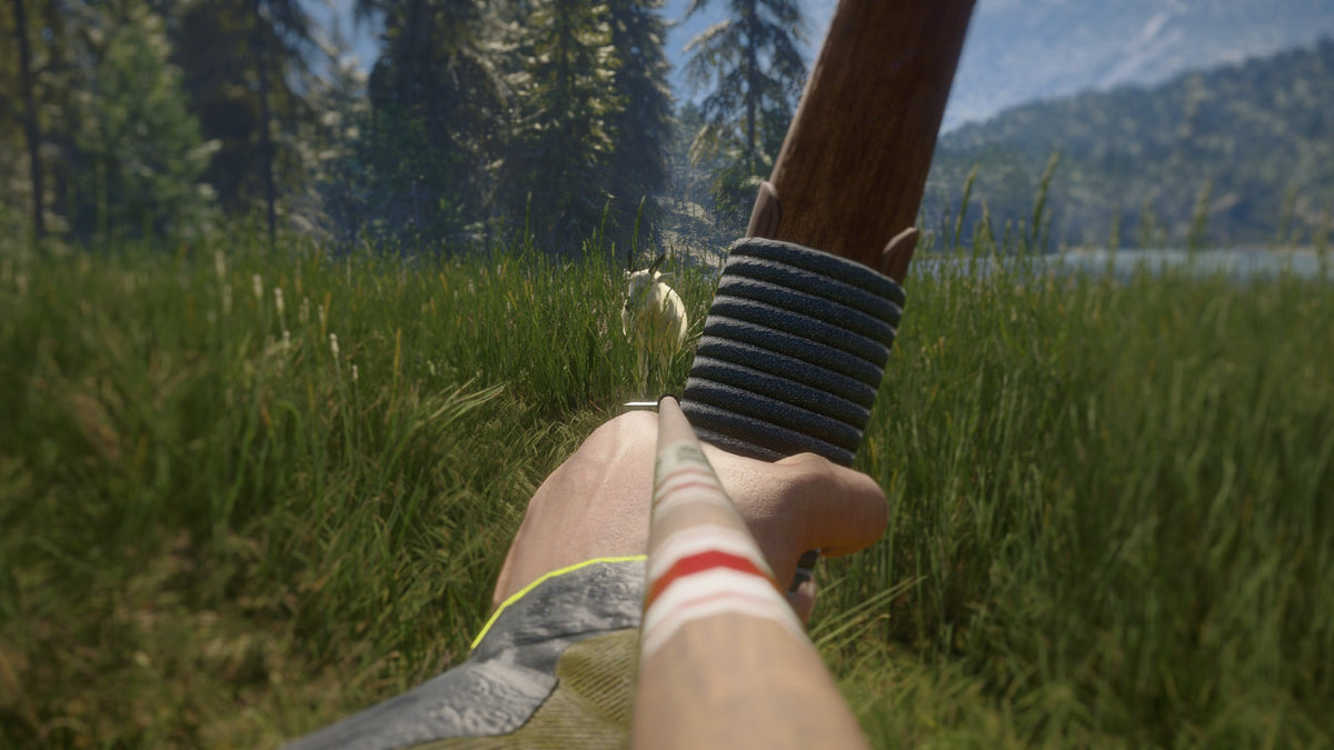 theHunter: Call of the Wild - Hunting Starter Pack Bundle PC Steam CD Key  REGION FREE  [Email/Instant Delivery]