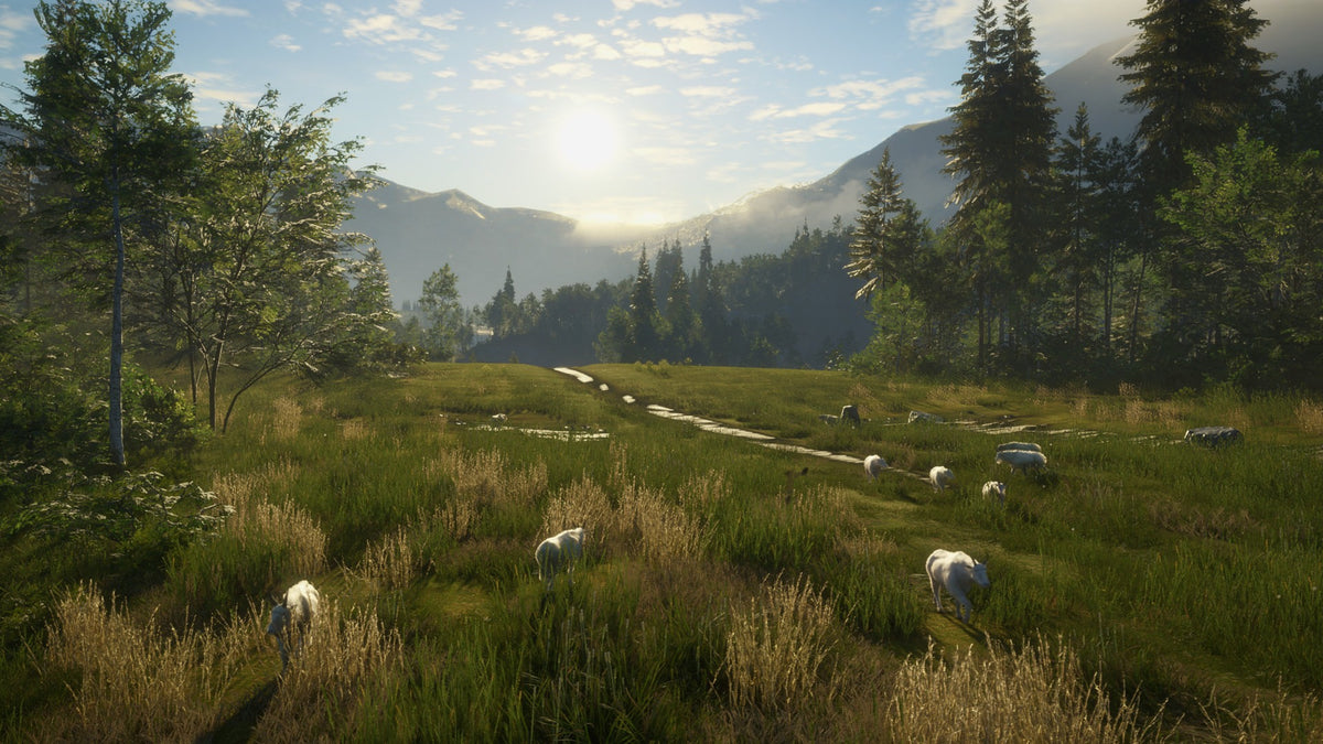 theHunter: Call of the Wild - Hunting Starter Pack Bundle PC Steam CD Key  REGION FREE  [Email/Instant Delivery]