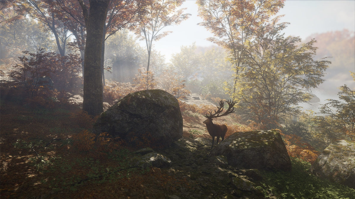 theHunter: Call of the Wild Ultimate Hunting Bundle PC Steam CD Key  REGION FREE Expansive Worlds - [Email/Instant Delivery]
