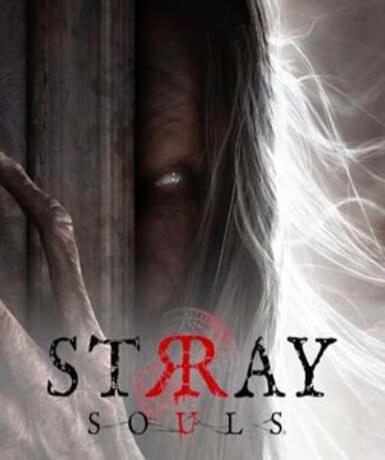 Stray Souls (Steam)   Steam - PC Download [Email/Instant Delivery]