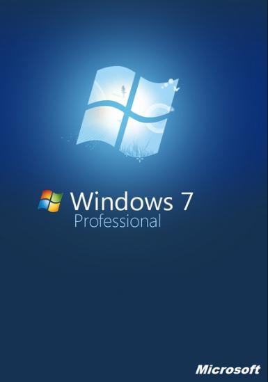 Windows 7 Professional OEM [Email/Instant Delivery]