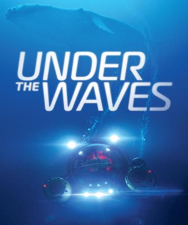 Under The Waves (Steam)   Steam - PC Download [Email/Instant Delivery]