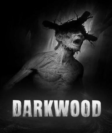 Darkwood (Steam)   Steam - PC Download [Email/Instant Delivery]