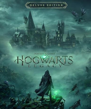 Hogwarts Legacy (Deluxe Edition) (Steam)   Steam - PC Download [Email/Instant Delivery]