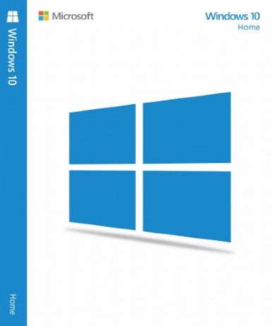 Microsoft Windows 10 Home Microsoft [Email/Instant Delivery]
