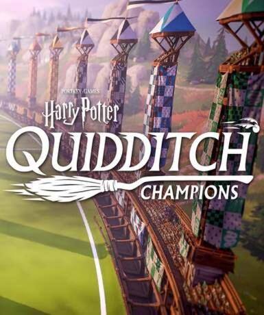 Harry Potter: Quidditch Champions (Steam)   Steam - PC Download [Email/Instant Delivery]