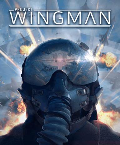 Project Wingman   Steam - PC Download [Email/Instant Delivery]