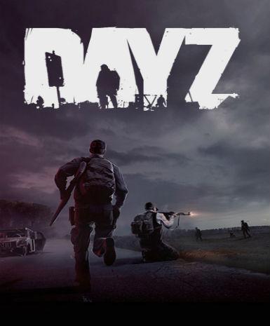 DayZ (Global)   Steam - PC Download [Email/Instant Delivery]