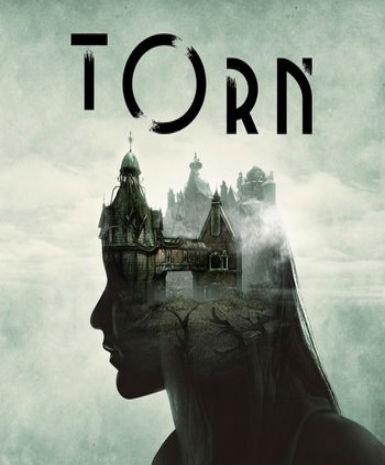 Torn   Steam - PC Download [Email/Instant Delivery]