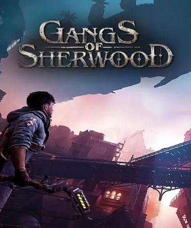 Gangs of Sherwood (Steam)   Steam - PC Download [Email/Instant Delivery]