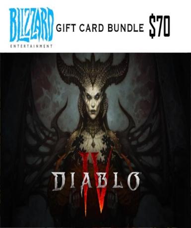 Diablo IV / Diablo 4 - 70 USD Battle.net Gift Card Bundle (US)   Blizzard - PC Download [Email/Instant Delivery]