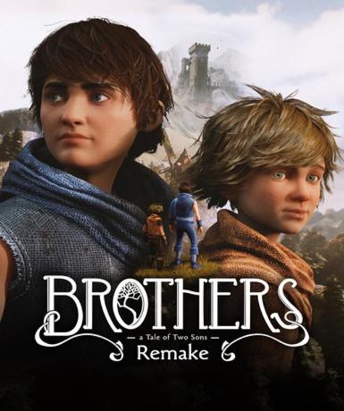 Brothers: A Tale of Two Sons Remake (Steam)   Steam - PC Download [Email/Instant Delivery]