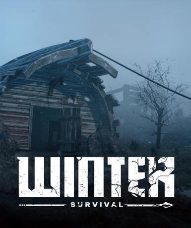 Winter Survival (Steam) (Early Access)   Steam - PC Download [Email/Instant Delivery]