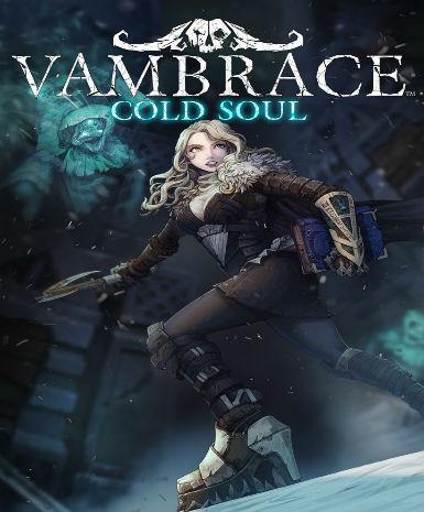 Vambrace: Cold Soul   Steam - PC Download [Email/Instant Delivery]
