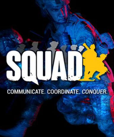 Squad (Global)   Steam - PC Download [Email/Instant Delivery]