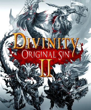 Divinity: Original Sin II (GOG)   GOG - PC Download [Email/Instant Delivery]