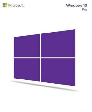 Windows 10 Professional OEM CoA [Email/Instant Delivery]