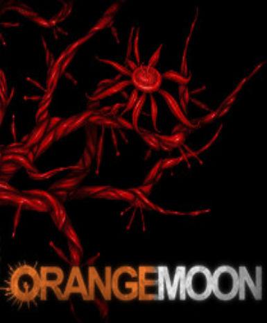 Orange Moon   Steam - PC Download [Email/Instant Delivery]