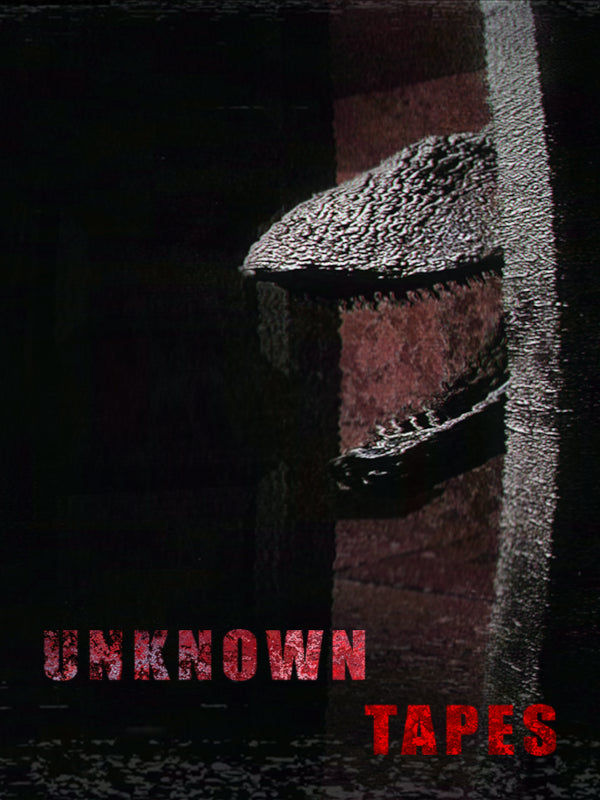 Unknown Tapes PC Steam CD Key  REGION FREE  [Email/Instant Delivery]