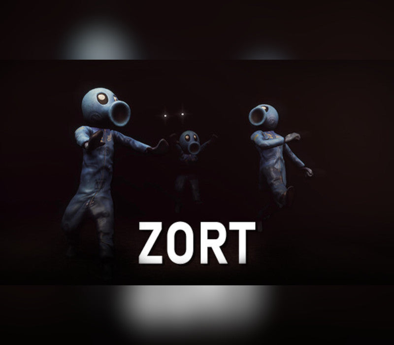 Zort PC Steam CD Key  REGION FREE Londer Software - [Email/Instant Delivery]
